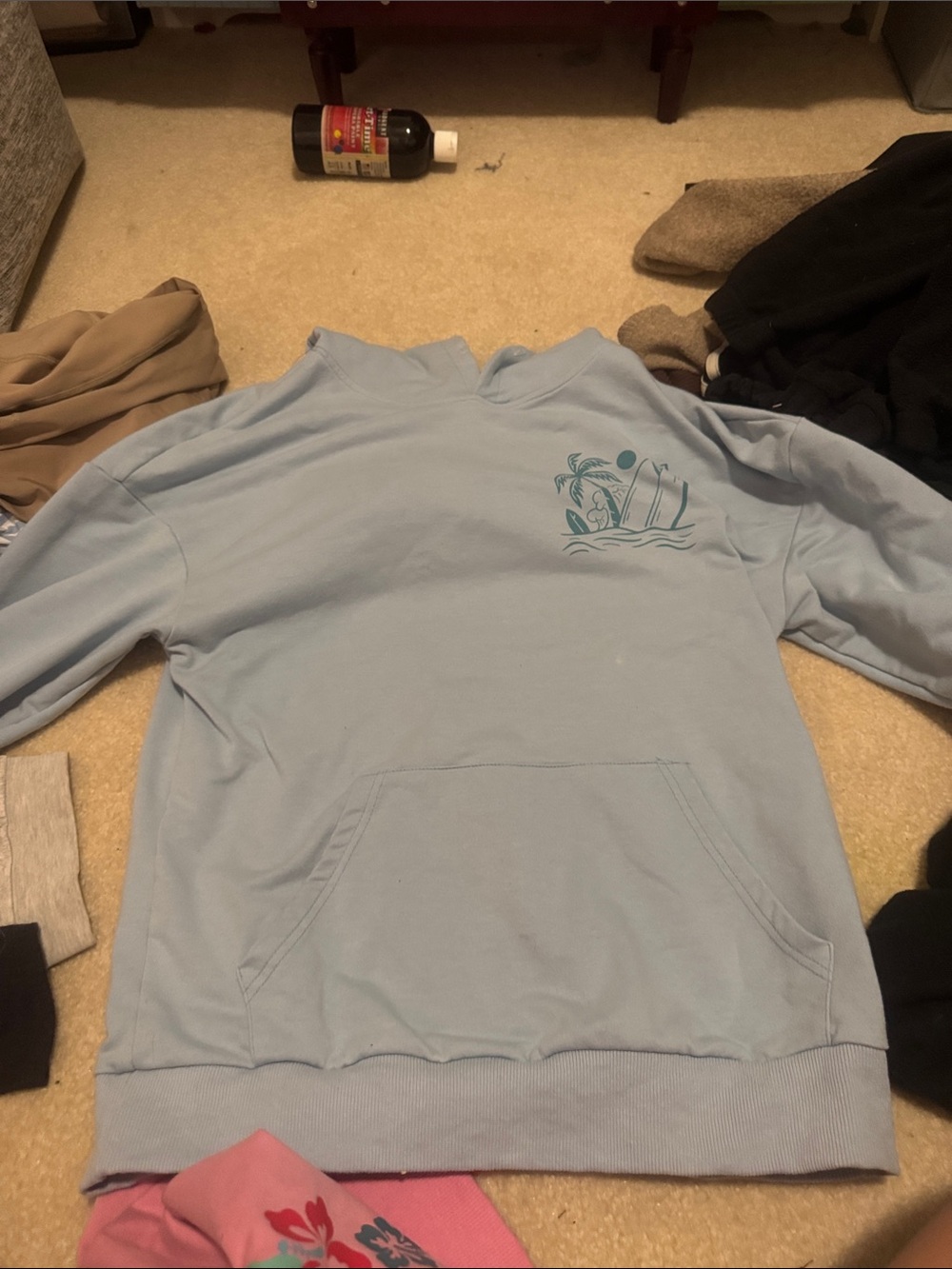 Light Blue hoodie Sweatshirt with Coastal Graphic